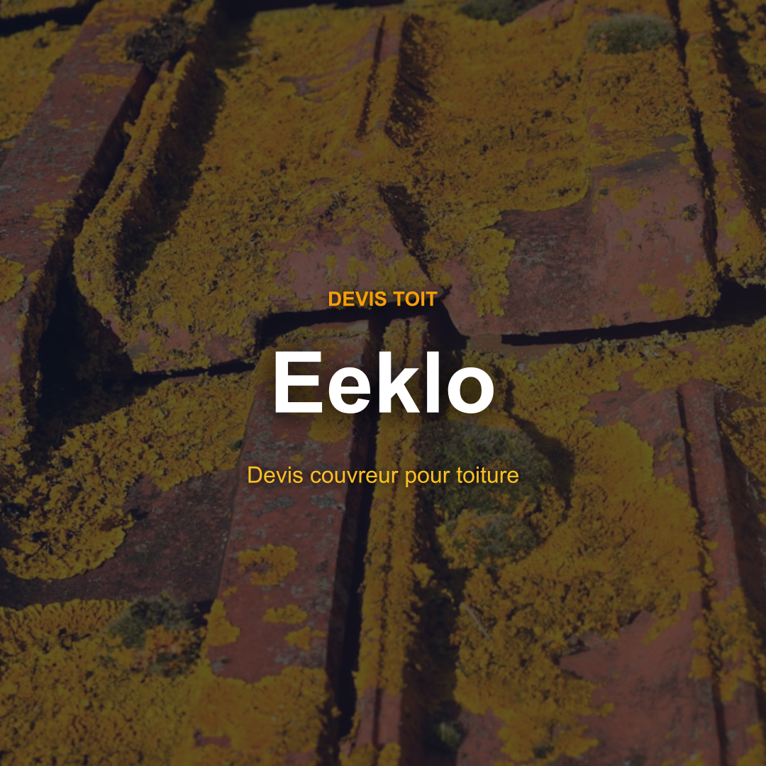 devis toiture Eeklo