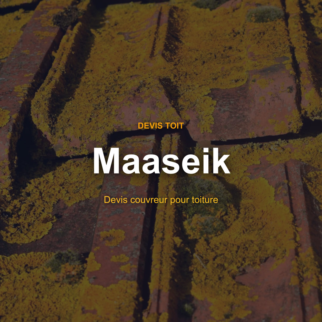 devis toiture Maaseik