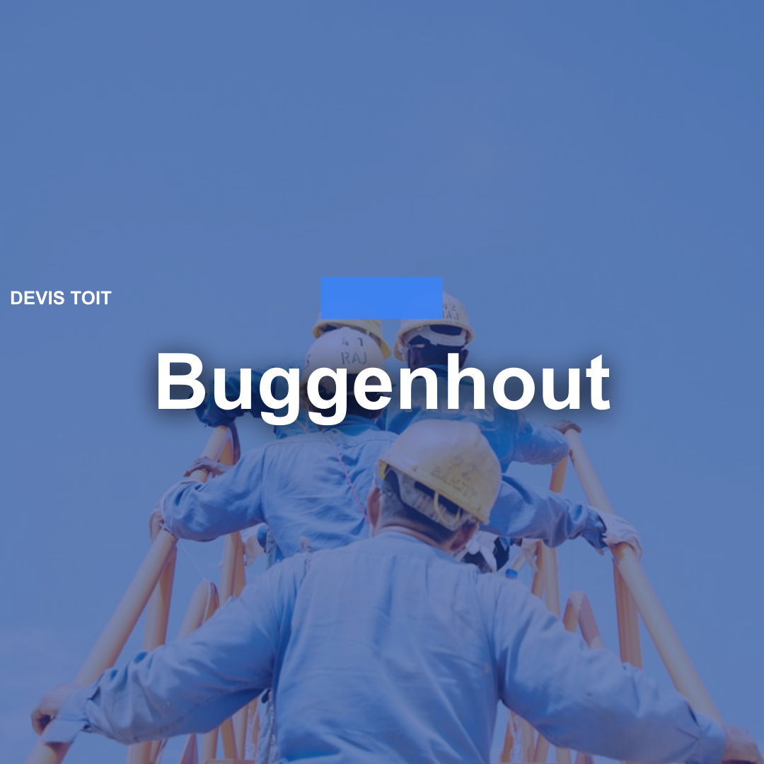 devis toiture Buggenhout