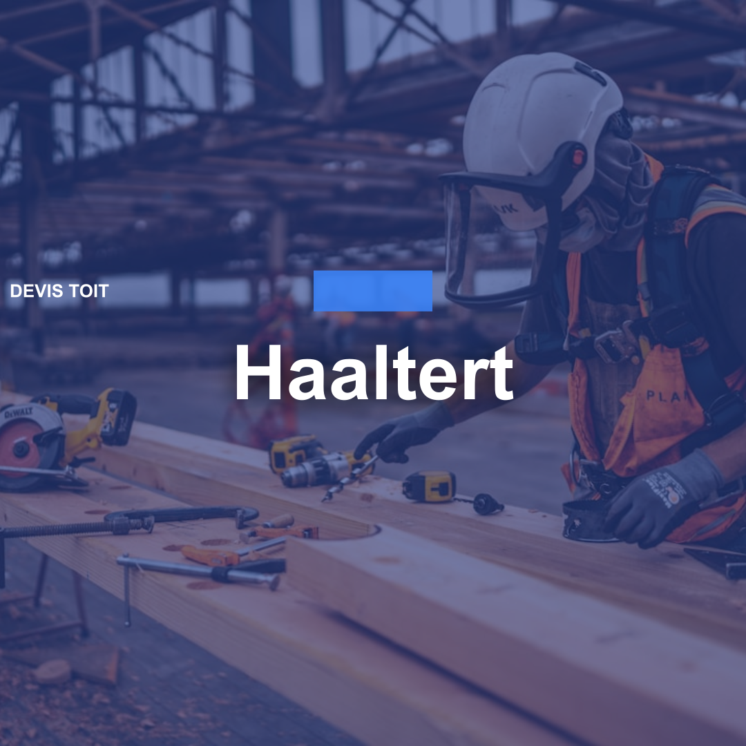 devis toiture Haaltert