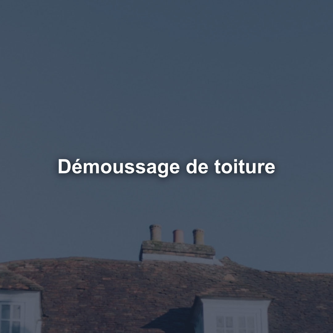 Démoussage de toiture