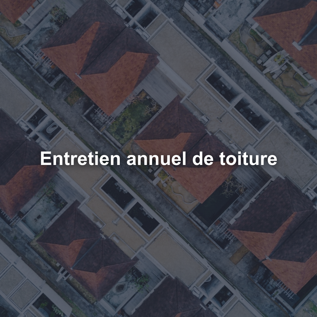 Entretien annuel de toiture