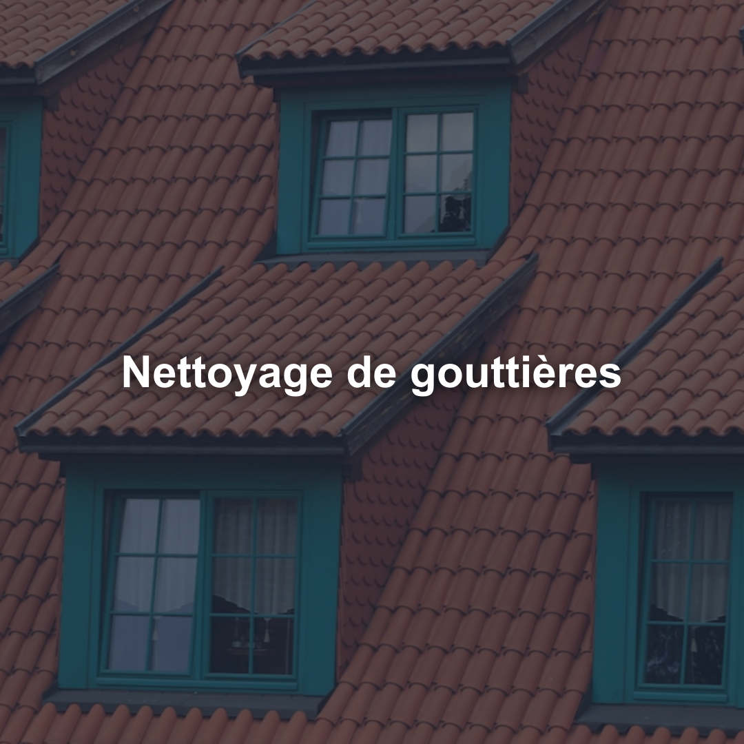 Nettoyage de gouttières