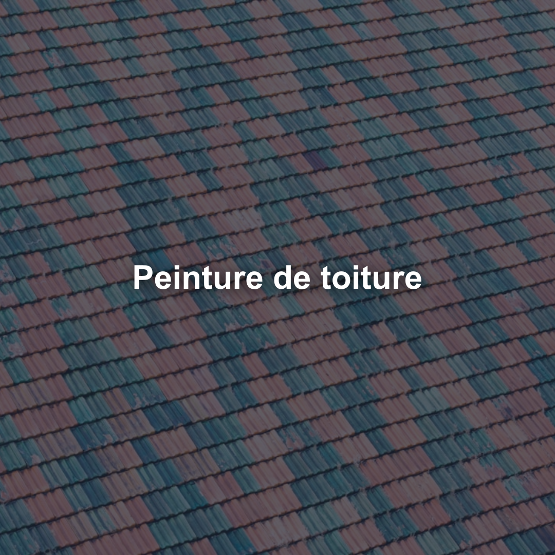 Peinture de toiture