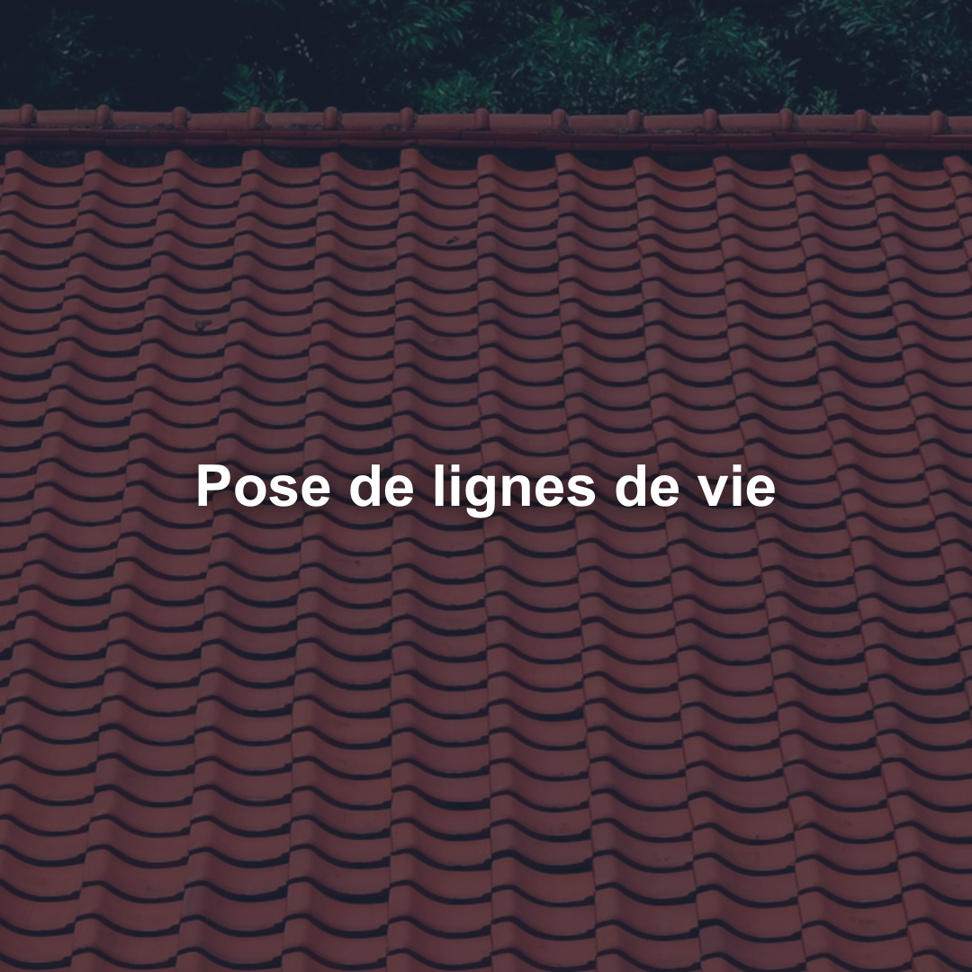 Pose de lignes de vie