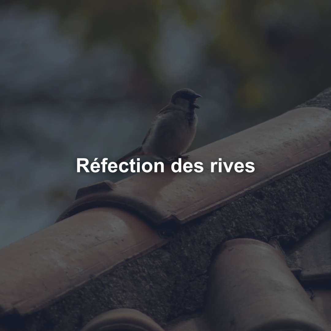 Réfection des rives