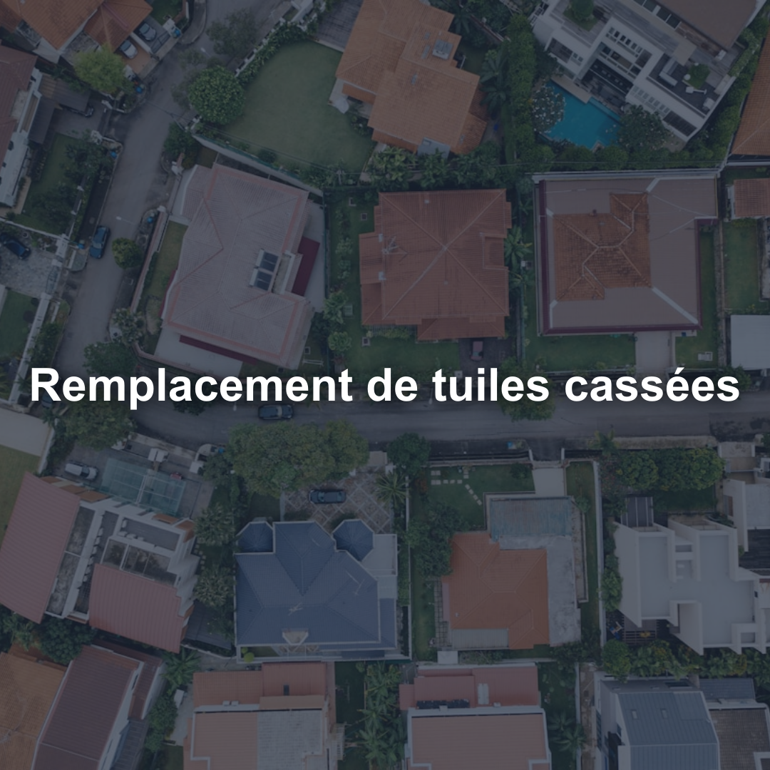 Remplacement de tuiles cassées